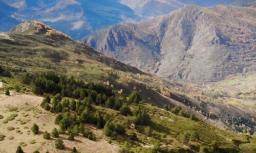 Chipper in the Pyrenees